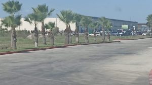 ICE Raiding warehouses