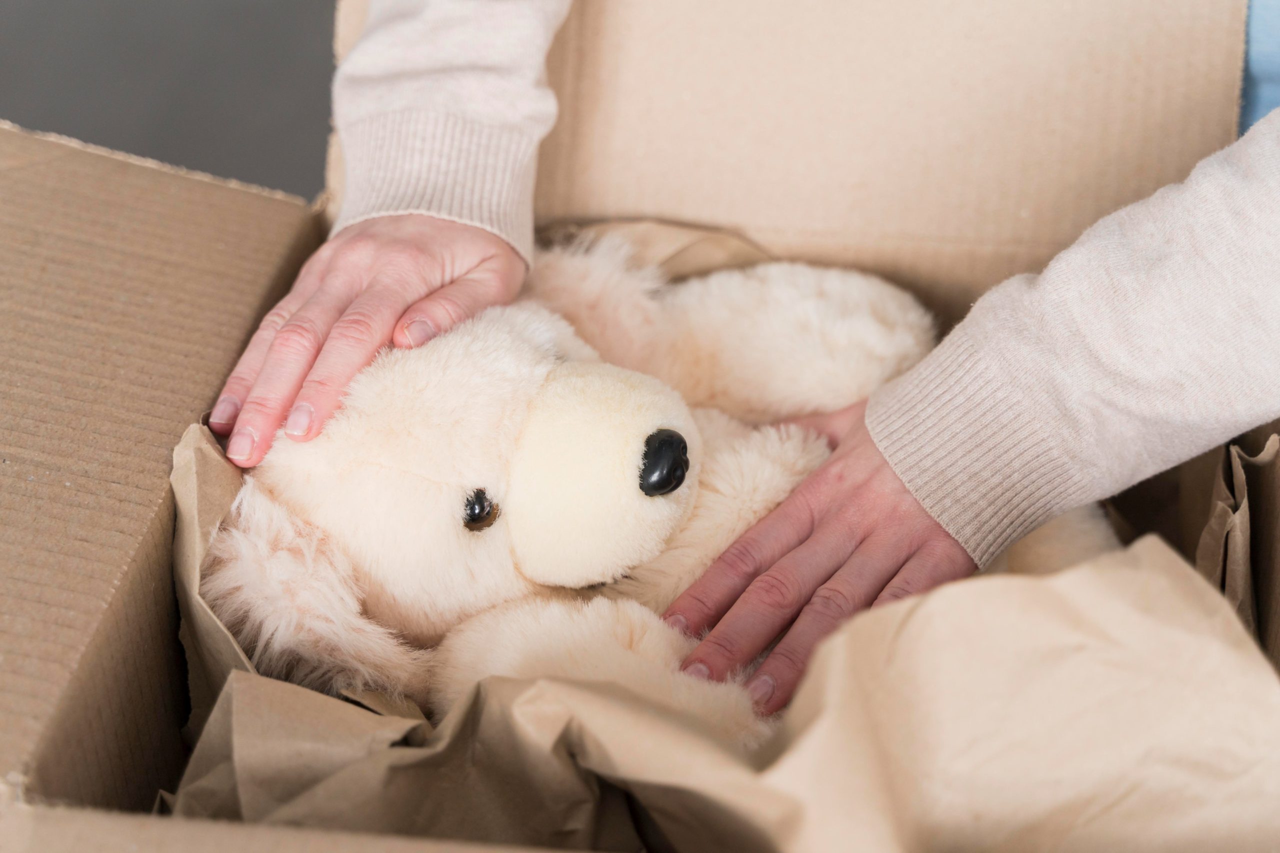 Caja con un oso de peluche